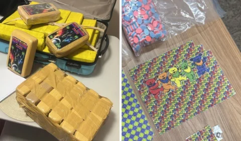 Polícia desarticula grupo criminoso envolvido em tráfico interestadual de drogas