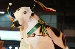 Tradição e resistência: Boi Tira Prosa se prepara para brilhar no Festival Folclórico do Amazonas