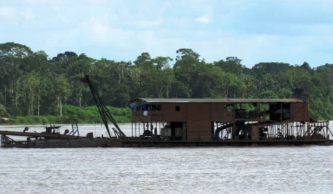 Greenpeace flagra mais de 500 dragas em garimpo ilegal no rio Madeira
