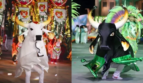 Disputa dos Bois movimenta Sambódromo de Manaus com cultura, emoção e resistência