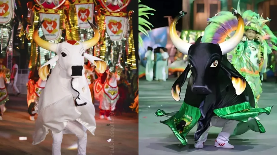 Disputa dos Bois movimenta Sambódromo de Manaus com cultura, emoção e resistência