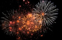 Palmas proíbe fogos com barulho e reforça denúncia de maus-tratos a animais em condomínios