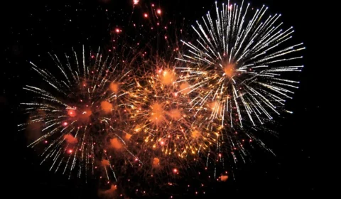 Palmas proíbe fogos com barulho e reforça denúncia de maus-tratos a animais em condomínios