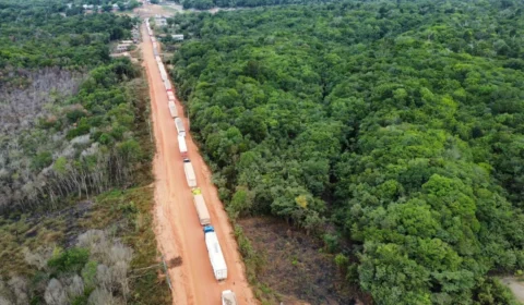 Plano BR-319: saiba como vai funcionar o modelo que promete destravar pavimentação da rodovia