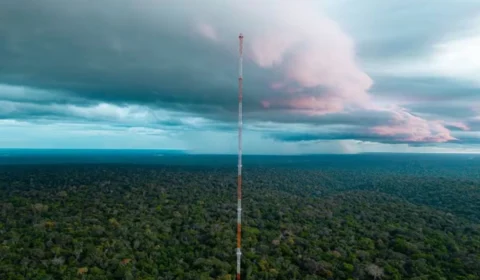 Poeira do Saara viaja mais de 5 mil quilômetros e é detectada na Amazônia, revela estudo