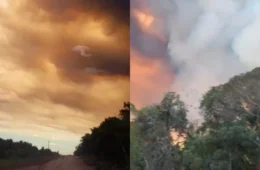 Fumaça do interior pode atingir Manaus: queimadas voltam a ameaçar comunidades no Amazonas