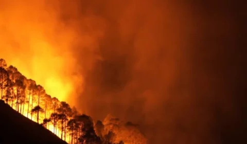 Queimadas no Tocantins deixam mais de 6 mil famílias sem energia e afetam serviços essenciais