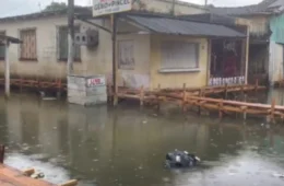 Nível do Rio Solimões começa a baixar em Manacapuru