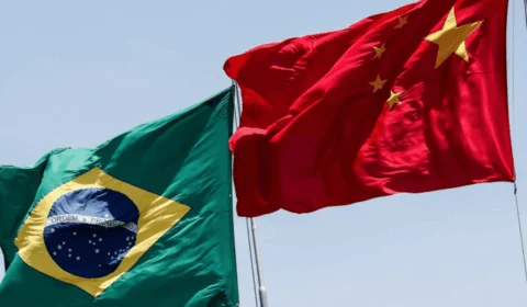 Nova rota Brasil–China deve impulsionar exportação de bioprodutos da Amazônia