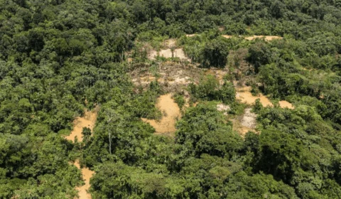 Dez municípios concentram 30% do desmatamento da Amazônia Legal; confira lista