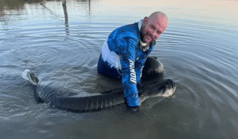 Surpresa no Lago de Palmas (TO): pescador captura e solta pirarucu de mais de 150 kg