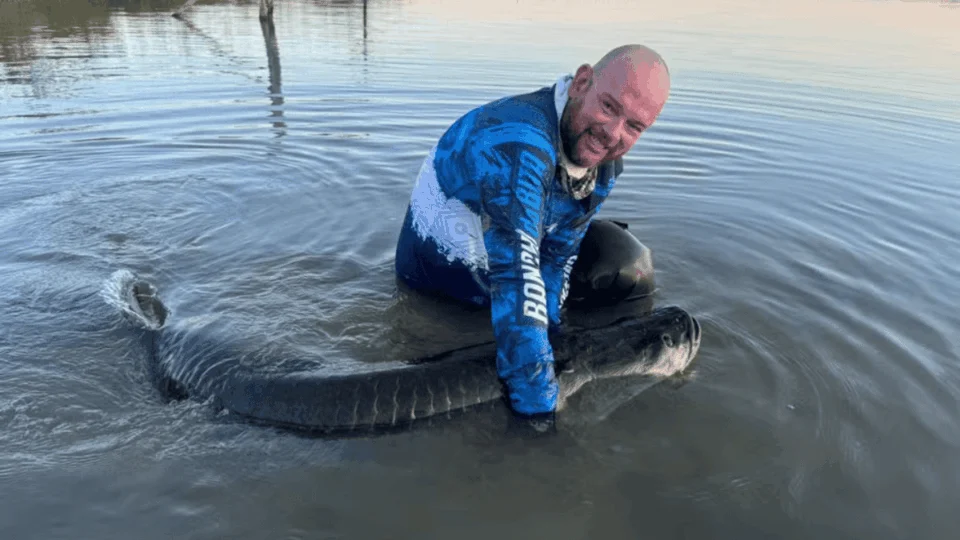 Surpresa no Lago de Palmas (TO): pescador captura e solta pirarucu de mais de 150 kg