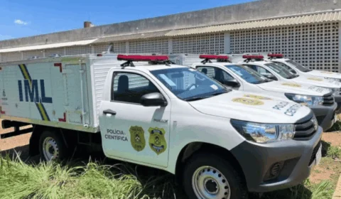 Jovem de 21 anos morre após colidir com vaca na rodovia TO-239 no norte do Tocantins