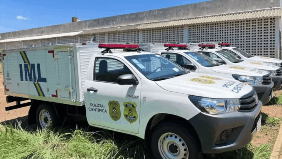 Jovem de 21 anos morre após colidir com vaca na rodovia TO-239 no norte do Tocantins