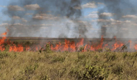 Queimadas disparam no Tocantins e Lagoa da Confusão lidera ranking nacional; confira