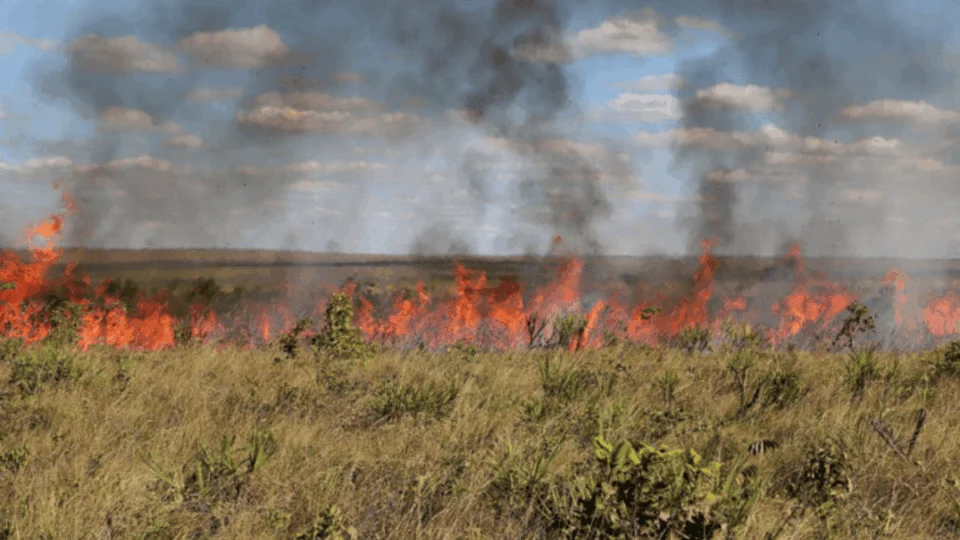 Queimadas disparam no Tocantins e Lagoa da Confusão lidera ranking nacional; confira