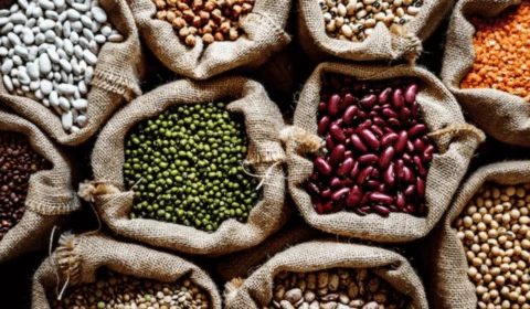 Tocantins em ascensão: produção de grãos bate recorde e lidera na região norte