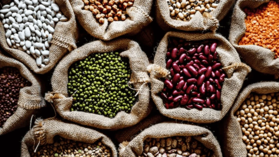 Tocantins em ascensão: produção de grãos bate recorde e lidera na região norte