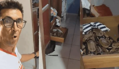 Família de Araguaína (TO) encontra serpente gigante no guarda-roupa da filha