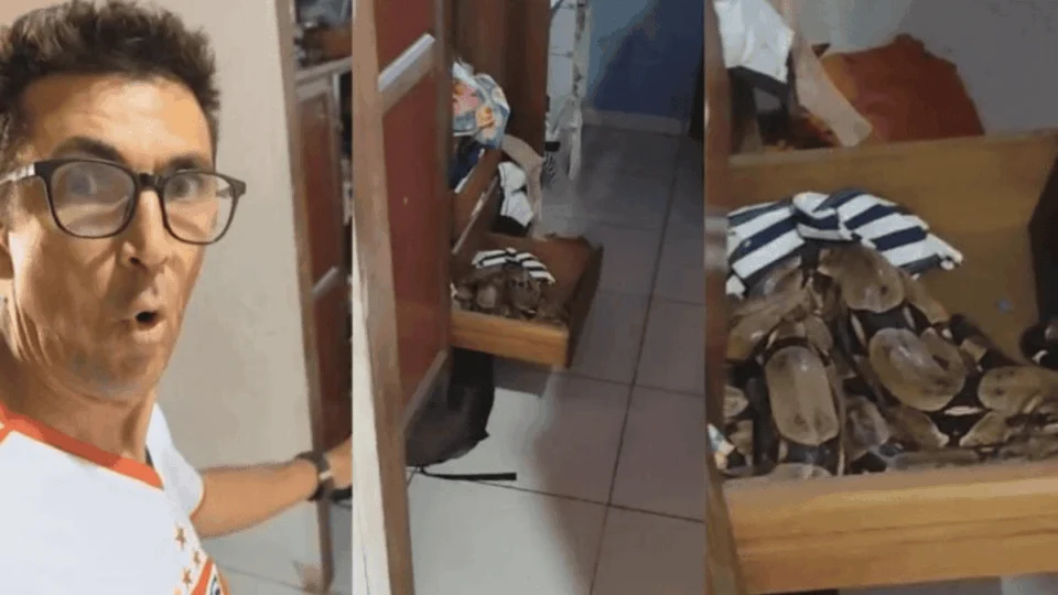 Família de Araguaína (TO) encontra serpente gigante no guarda-roupa da filha