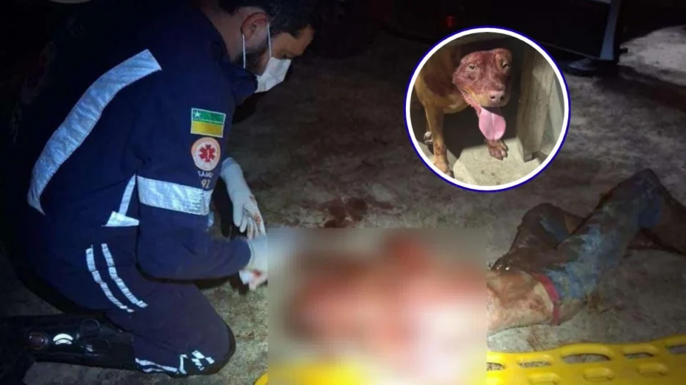 Ladrão invade casa e é atacado por pitbull em Boa Vista