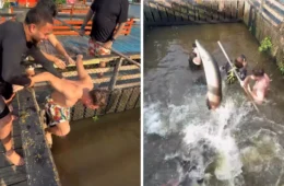 Jon Vlogs causa polêmica ao pular em viveiro de pirarucus em Manaus; veja vídeo