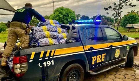 PRF apreende 1,5 tonelada de alho contrabandeado após suspeito fugir em Roraima