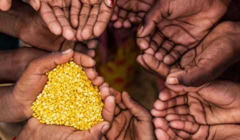 Municípios são protagonistas na conquista do Brasil fora do Mapa da Fome da FAO