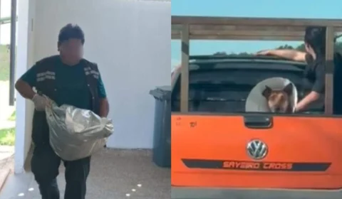 Veterinário é investigado por matar cachorro e enforcar outro em Iranduba; entenda o caso