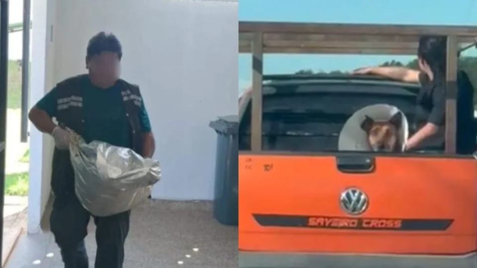 Veterinário é investigado por matar cachorro e enforcar outro em Iranduba; entenda o caso