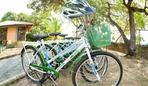 Bicicletas gratuitas passam a fazer parte do Bosque dos Papagaios