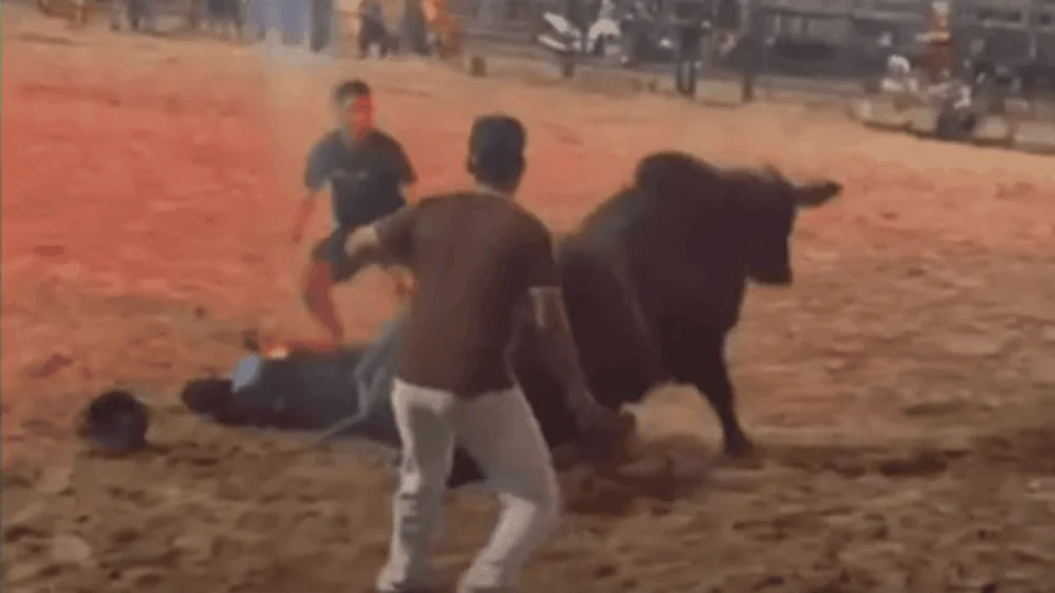 Vídeo: peão desmaia após queda durante classificatória de rodeio no interior do Acre