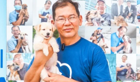 Vereador admite que causa animal ainda é tratada como pauta secundária em Manaus