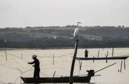 Governo anuncia ação nacional para reforçar fiscalização do Seguro-Defeso