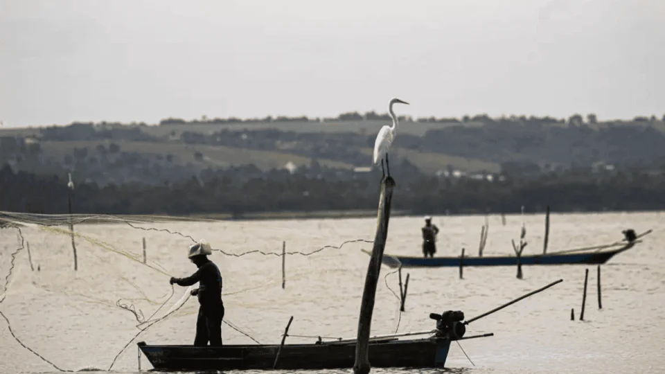 Governo anuncia ação nacional para reforçar fiscalização do Seguro-Defeso