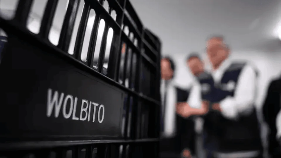 Tecnologia promete reduzir casos de dengue no DF e municípios goiano; entenda