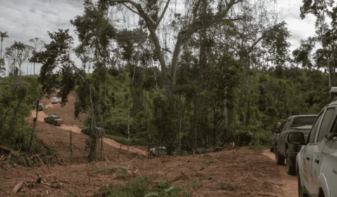 Ações do governo reduzem garimpo em 98% e mortes entre Yanomami caem 33% em dois anos