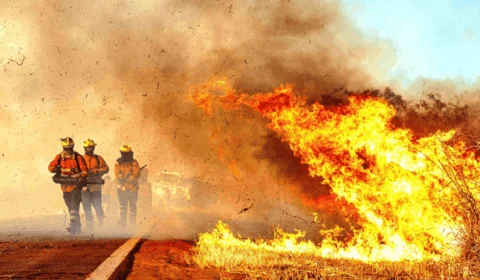 Incêndios e tempo seco colocam DF em alerta; especialistas dão dicas de saúde