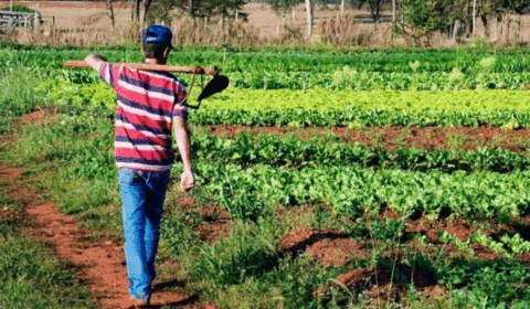 Senado aprova lei que fortalece proteção a agricultores afetados por seca e chuvas