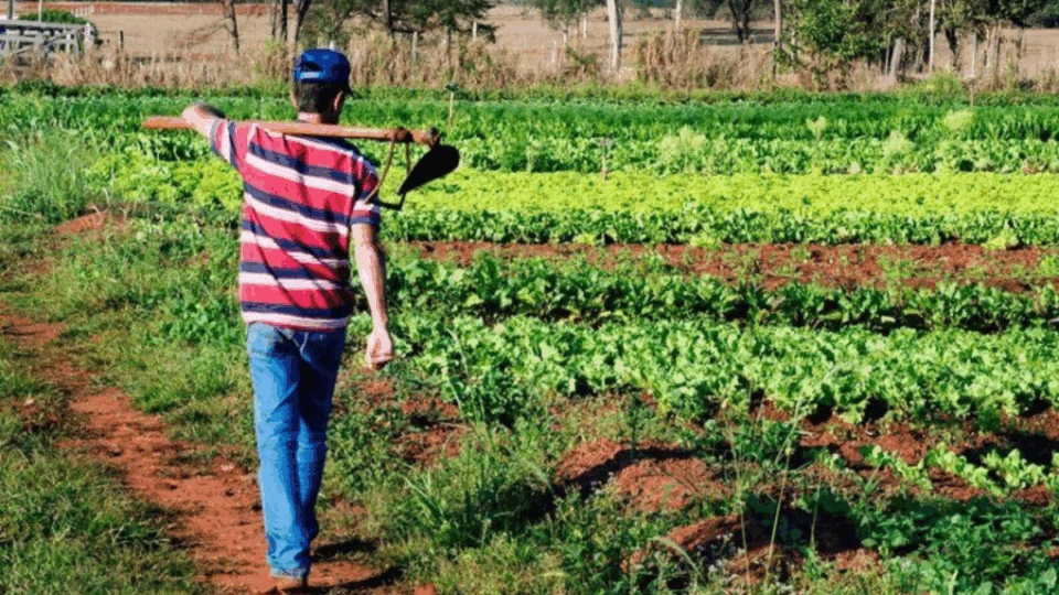 Senado aprova lei que fortalece proteção a agricultores afetados por seca e chuvas