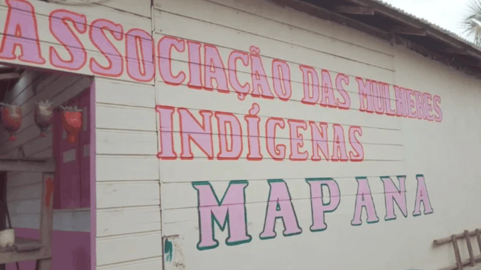 Mulheres indígenas da Amazônia ganham impulso em projeto de produção de açaí