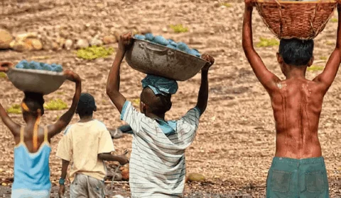 Trabalho infantil recua 12,1% no Norte, mas região ainda lidera proporção no país