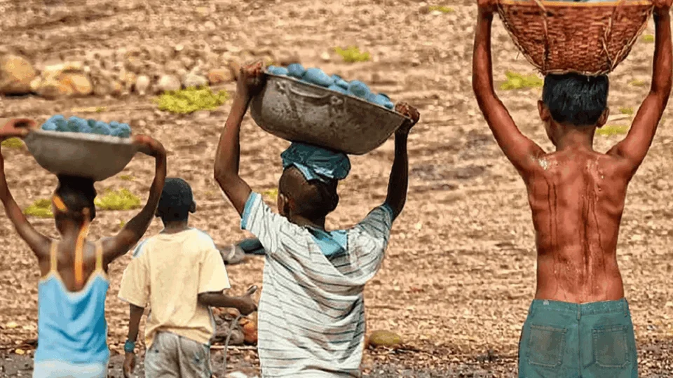 Trabalho infantil recua 12,1% no Norte, mas região ainda lidera proporção no país