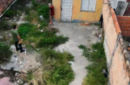 Homem é encontrado morto após possível queda de árvore em Manaus