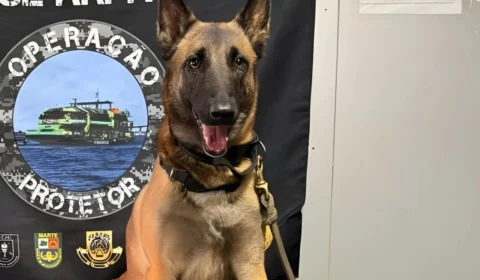 Polícia apreende 10 kg de cocaína em embarcação na região de Coari