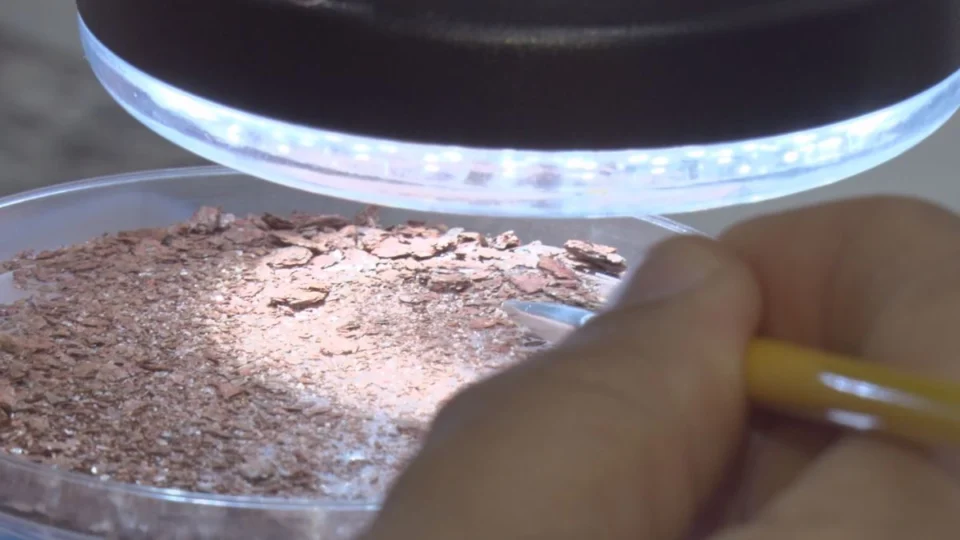 Roraima descobre o maior complexo de terras raras do mundo