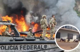 Confrontos entre garimpeiros e PF resultam em prejuízo de R$ 18 milhões em operação no Amazonas