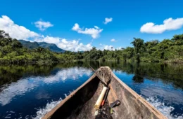 Dia da Amazônia: veja 7curiosidades que você provavelmente não conhecia sobre a região