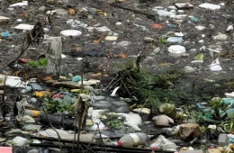 Corpo de homem é encontrado decapitado em área de igarapé de Manaus