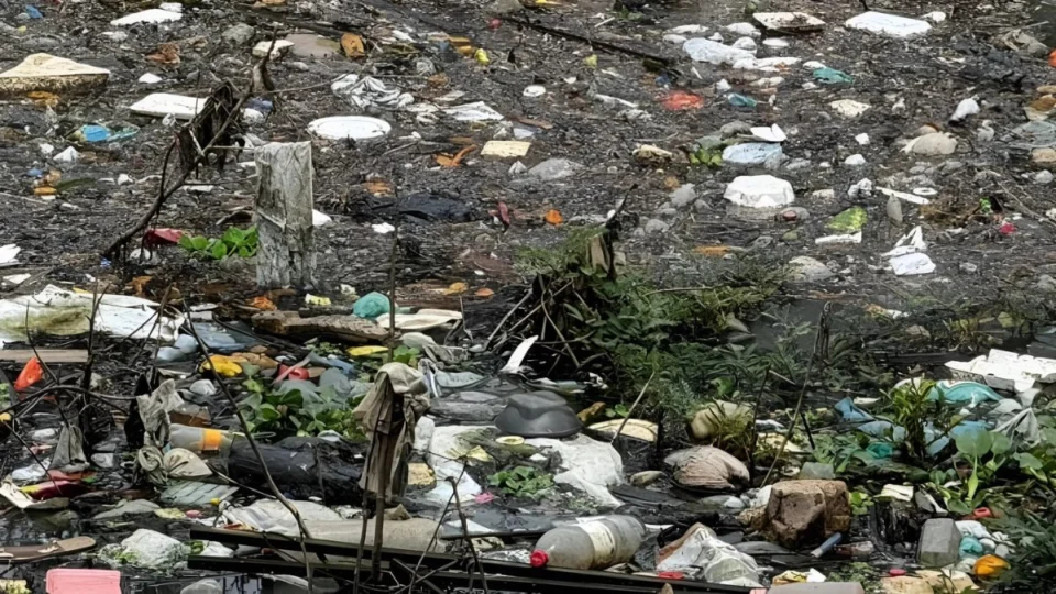 Corpo de homem é encontrado decapitado em área de igarapé de Manaus